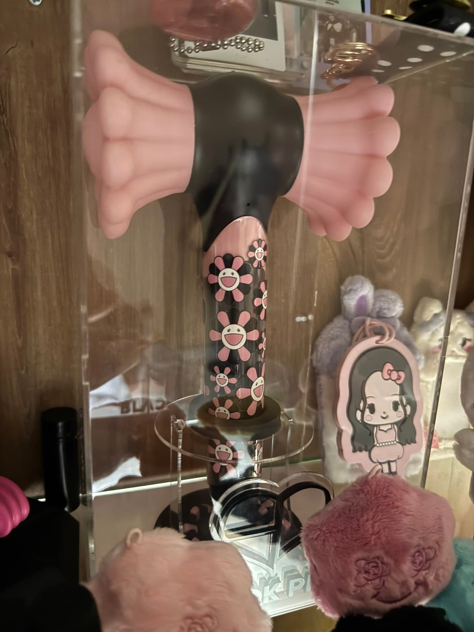 Have: Blackpink Lightstick
